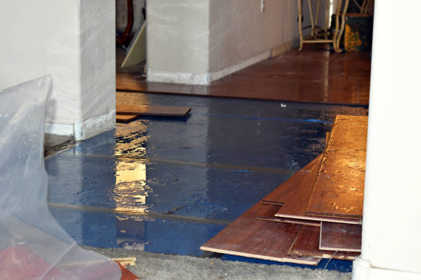 Professional Basement Flood Cleanup technician working in Claremont, MN